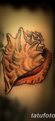 fotó a kagylótetoválásról, kelt 2017.08.19. 156. szám - Tetoválóhéj_