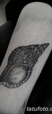 fotó a kagylótetoválásról, kelt 2017. 08. 19 -én, 163. szám - Tetoválóhéj_