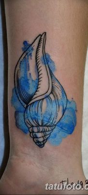 fotó egy kagylótetoválásról, kelt, 2017.08.19. 165. szám - Tetoválóhéj_