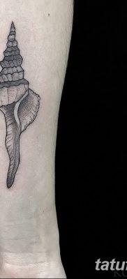 fotó a kagylótetoválásról, kelt 2017.08.19. 168. szám - Tetoválóhéj_