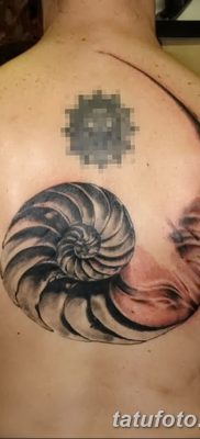 fotó a kagylótetoválásról, 2017. augusztus 19 -én, 175. sz. - Tetoválóhéj_