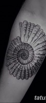 fotó a kagylótetoválásról, 2017. 08. 19 -én, 176. sz. - Tetoválóhéj_