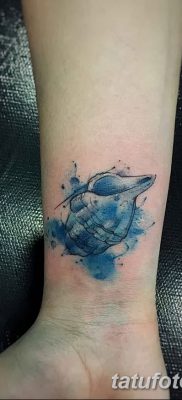 fotó a kagylótetoválásról, 2017. augusztus 19 -én, 178. sz. - Tetoválóhéj_