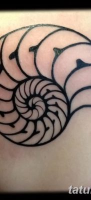 fotó egy kagylótetoválásról, kelt 2017.08.19. 001. sz. - Tetoválóhéj_