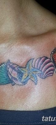 fotó egy kagylótetoválásról, kelt 2017.08.19. 002 - Tetoválóhéj_