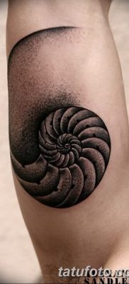 fotó egy kagylótetoválásról, kelt 2017. 08. 19 -én, 009. sz. - Tetoválóhéj_