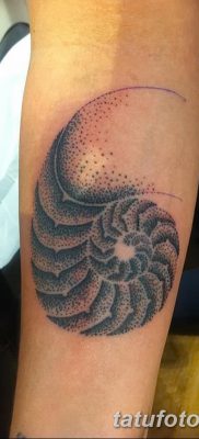 fotó egy kagylótetoválásról, kelt 2017.08.19. 016 - Tetoválóhéj_