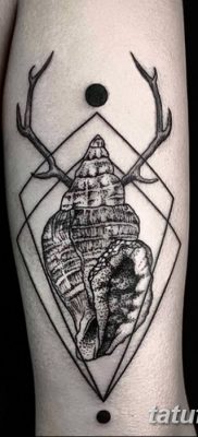 fotó egy kagylótetoválásról, kelt 2017. 08. 19 -én, 017 sz. - Tetoválóhéj_