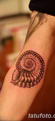 fotó egy kagylótetoválásról, kelt 2017. 08. 19. 018. sz.