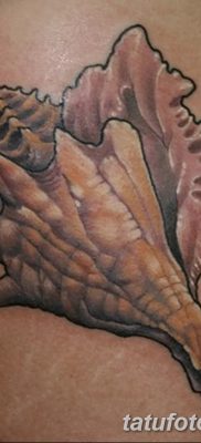 fotó a kagylótetoválásról, dátum: 2017.08.19. 022 - Tattoo shell_