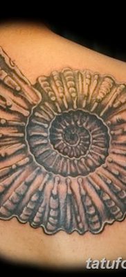 fotó a kagylótetoválásról, dátum: 2017.08.19. 024 - Tattoo shell_