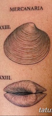 fotó a kagylótetoválásról, 2017. 08. 19. 025. sz. - Tetoválóhéj_