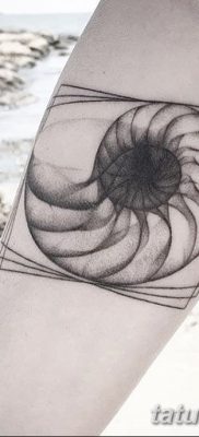 fotó egy kagylótetoválásról, kelt 2017.08.19. 028 - Tattoo shell_