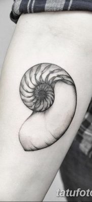 fotó egy kagylótetoválásról, kelt 2017.08.19. 029 - Tetoválóhéj_