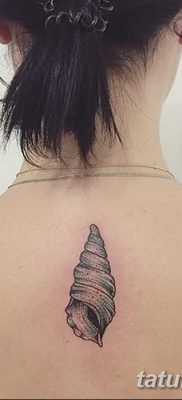 fotó a kagylótetoválásról, kelt 2017.08.19 -én №030 - Tetovált kagyló_