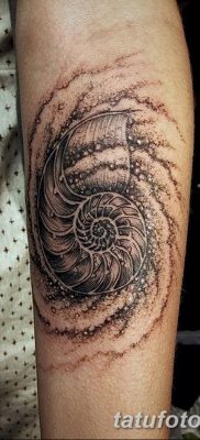 fotó egy kagylótetoválásról, kelt 2017.08.19. 031. sz. - Tetoválóhéj_