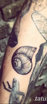 fotó egy kagylótetoválásról, kelt 2017. 08. 19 -én, 032. sz.