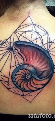 fotó a kagylótetoválásról, 2017. 08. 19 -én, 033 sz. - Tetoválóhéj_