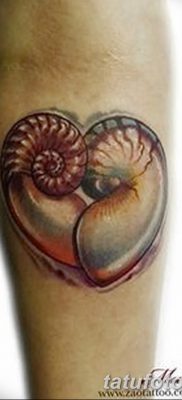 fotó egy kagylótetoválásról, kelt 2017.08.19. 038 - Tattoo shell_