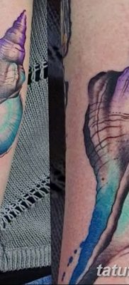 fotó egy kagylótetoválásról, kelt 2017.08.19. 040. sz. - Tetoválóhéj_