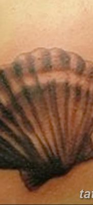 fotó a kagylótetoválásról, dátum: 2017.08.19. 041. sz. - Tetoválóhéj_