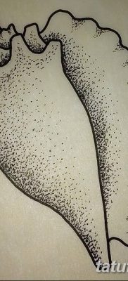 fotó egy kagylótetoválásról, kelt 2017. 08. 19 -én, 053. sz. - Tetoválóhéj_