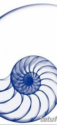 fotó egy kagylótetoválásról, kelt 2017. 08. 19 -én, 056. szám - Tetoválóhéj_