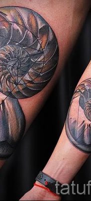 Снимка на татуировка на черупка за статия за значението на черупка в татуировка - tatufoto.ru - 78