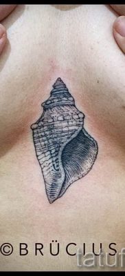 Снимка на татуировка на черупка за статия за значението на черупка в татуировка - tatufoto.ru - 73