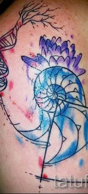 Снимка на татуировка на черупка за статия за значението на черупка в татуировка - tatufoto.ru - 72