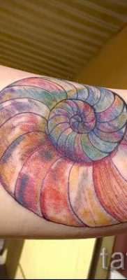 Снимка на татуировка на черупка за статия за значението на черупка в татуировка - tatufoto.ru - 71