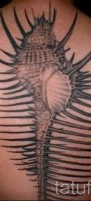 Снимка на татуировка на черупка за статия за значението на черупка в татуировка - tatufoto.ru - 66