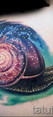 Снимка на татуировка на черупка за статия за значението на черупка в татуировка - tatufoto.ru - 64