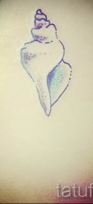 Снимка на татуировка на черупка за статия за значението на черупка в татуировка - tatufoto.ru - 61