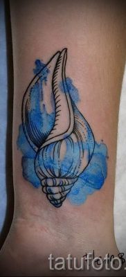 Снимка на татуировка на черупка за статия за значението на черупка в татуировка - tatufoto.ru - 56