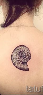 Снимка на татуировка на черупка за статия за значението на черупка в татуировка - tatufoto.ru - 52