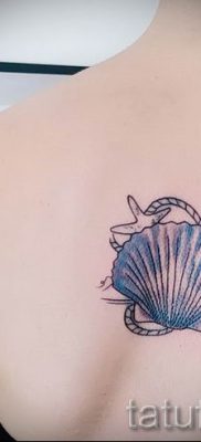 Снимка на татуировка на черупка за статия за значението на черупка в татуировка - tatufoto.ru - 48