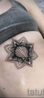 Снимка на татуировка на черупка за статия за значението на черупка в татуировка - tatufoto.ru - 47