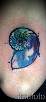 Снимка на татуировка на черупка за статия за значението на черупка в татуировка - tatufoto.ru - 46