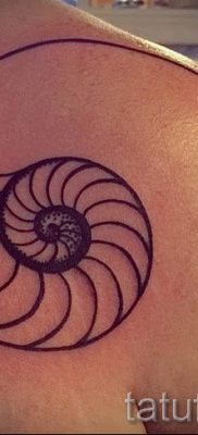 Снимка на татуировка на черупка за статия за значението на черупка в татуировка - tatufoto.ru - 35