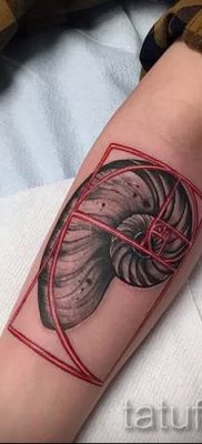 Снимка на татуировка на черупка за статия за значението на черупка в татуировка - tatufoto.ru - 28