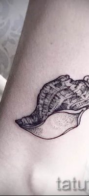 Снимка на татуировка на черупка за статия за значението на черупка в татуировка - tatufoto.ru - 21
