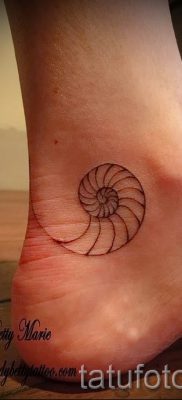 Снимка на татуировка на черупка за статия за значението на черупка в татуировка - tatufoto.ru - 5