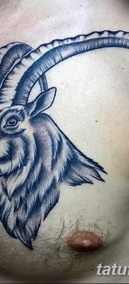 fotó egy szarv tetoválásról, dátum: 2018.04.24. №055 - tetováló kürt -
