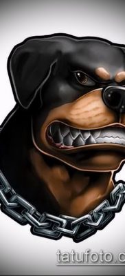 Снимка на татуировка на ротвайлер - 06062017 - пример - 042 татуировка на ротвайлер