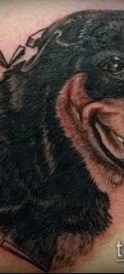 Снимка на татуировка на ротвайлер - 06062017 - пример - 053 татуировка на ротвайлер
