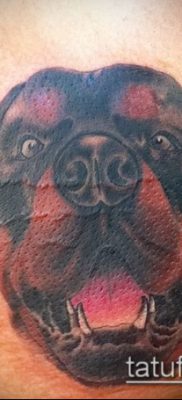 Снимка на татуировка на ротвайлер - 06062017 - пример - 059 татуировка на ротвайлер