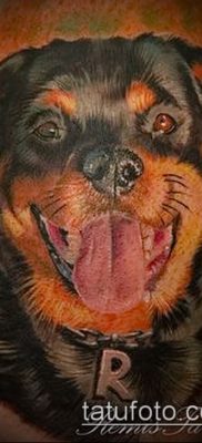 Снимка на татуировка на ротвайлер - 06062017 - пример - 060 татуировка на ротвайлер