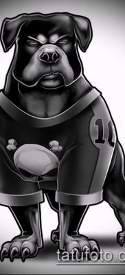 Снимка на татуировка на ротвайлер - 06062017 - пример - 064 татуировка на ротвайлер