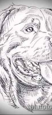 Снимка на татуировка на ротвайлер - 06062017 - пример - 068 Татуировка на ротвайлер